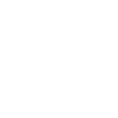 Termo Activado Icono